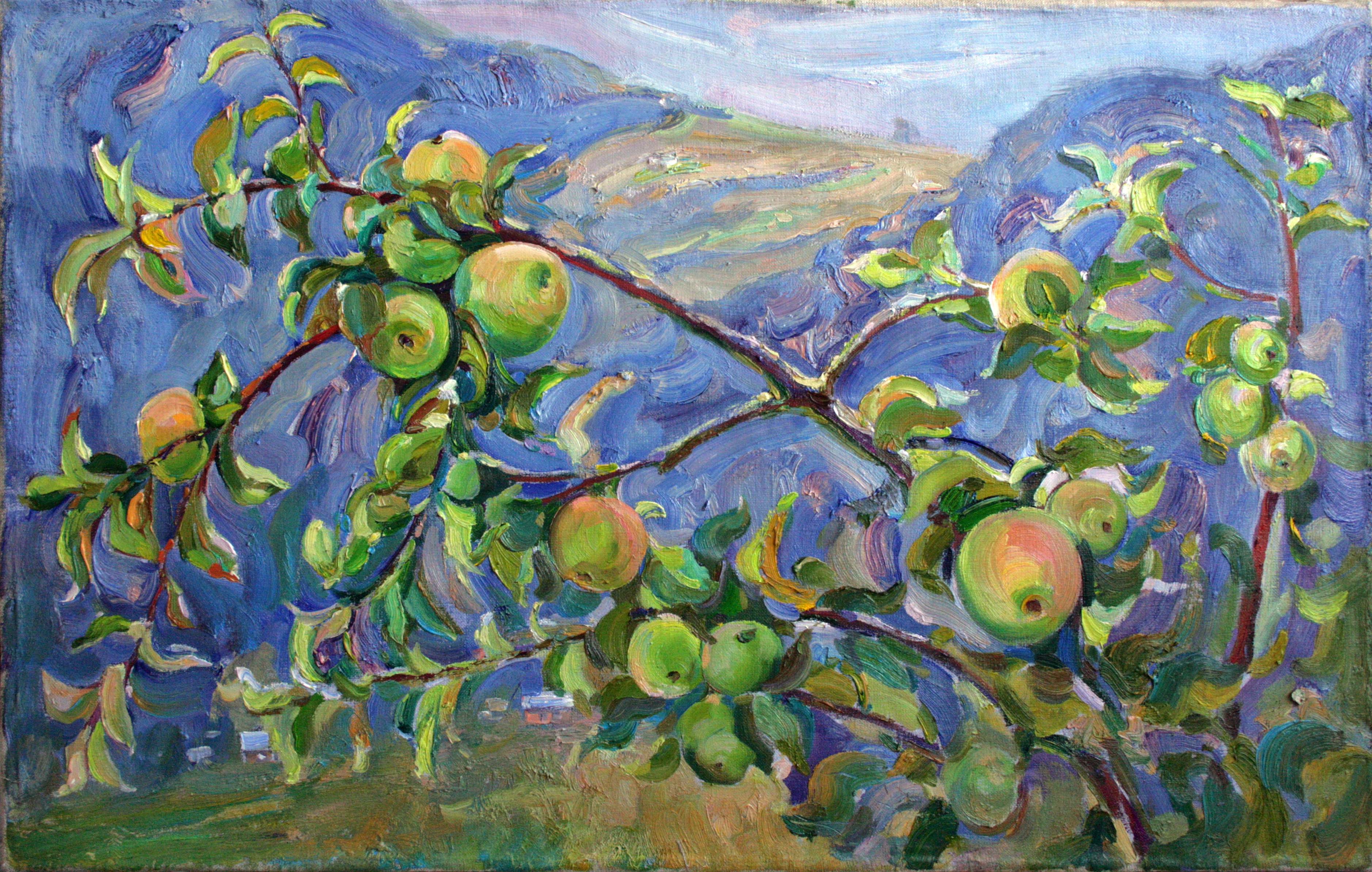 Mountain apples